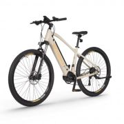 rower-elektryczny-sx300_1x1-2.jpg
